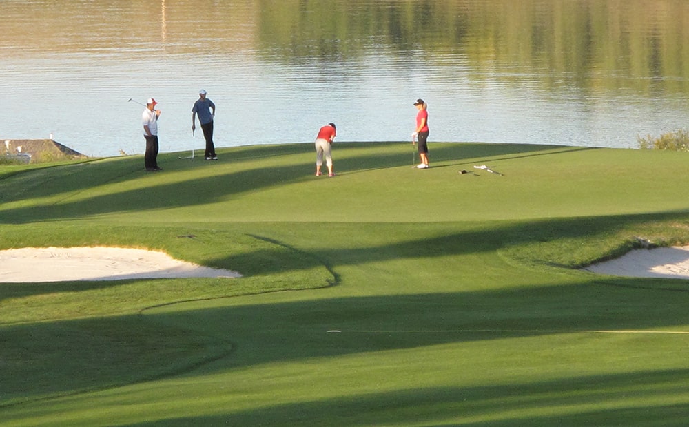 Springbank Links