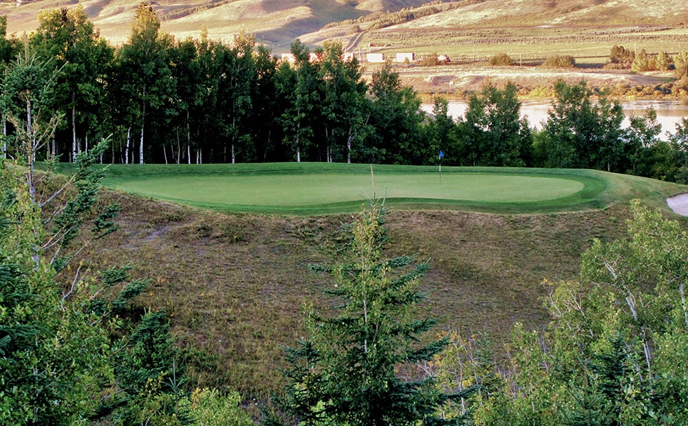 Springbank Links