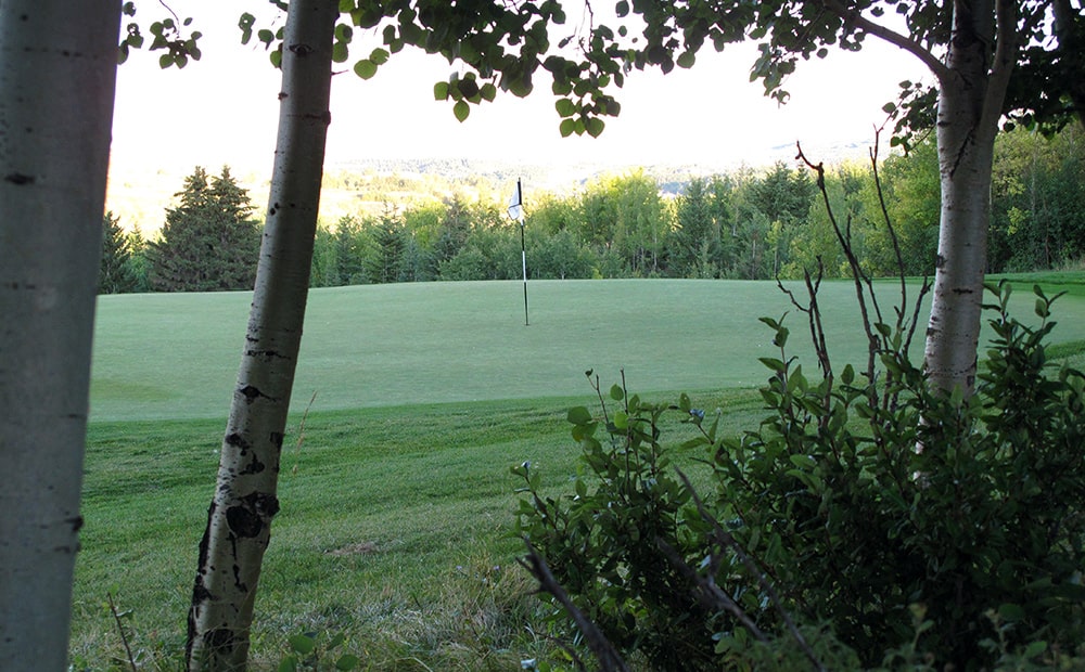 Springbank Links