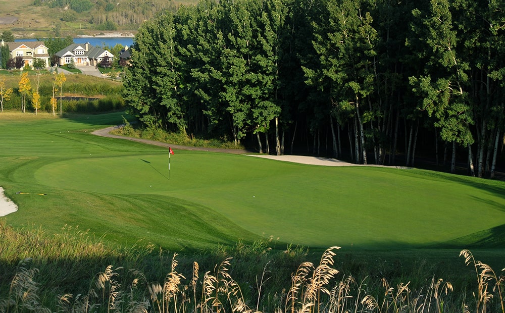 Springbank Links