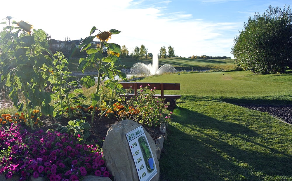 Springbank Links