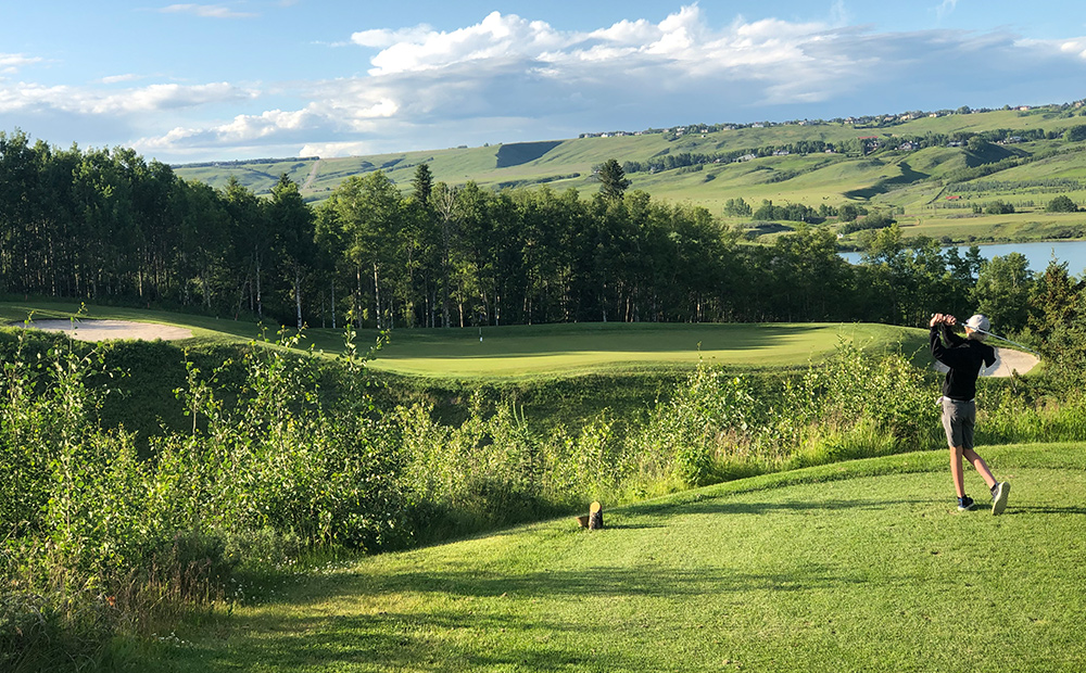 Springbank Links